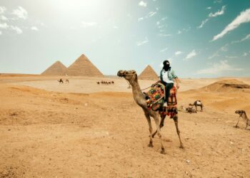 22 tys. firm zarejestrowanych pod adresem piramid w Egipcie. Dane agencji Moody’s o firmach fasadowych